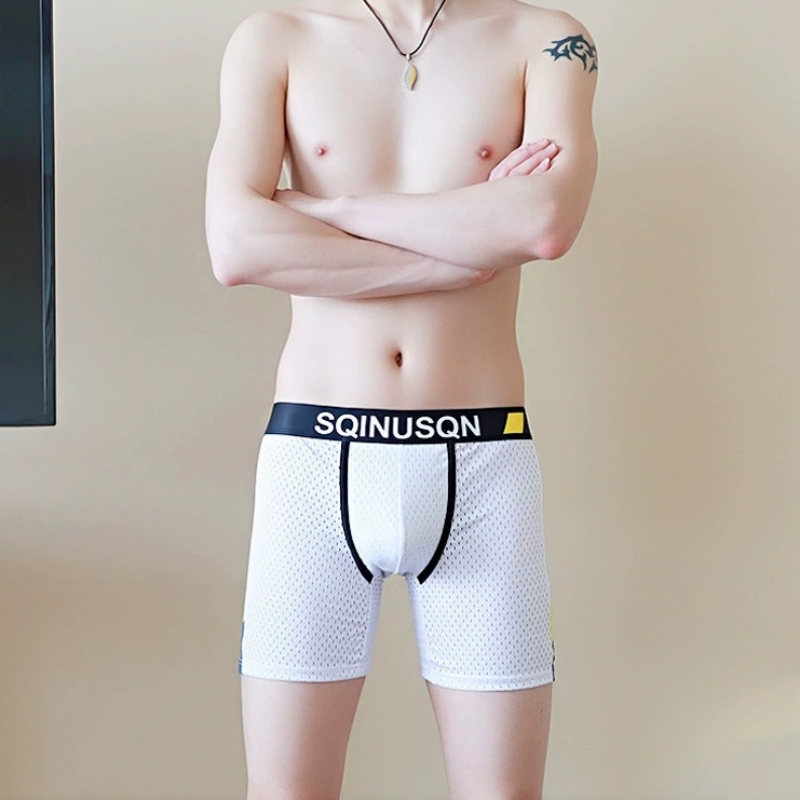 Men's Ice Silk Mesh Boxer Brie - Long Leg Trunk Men ulasan dan harga